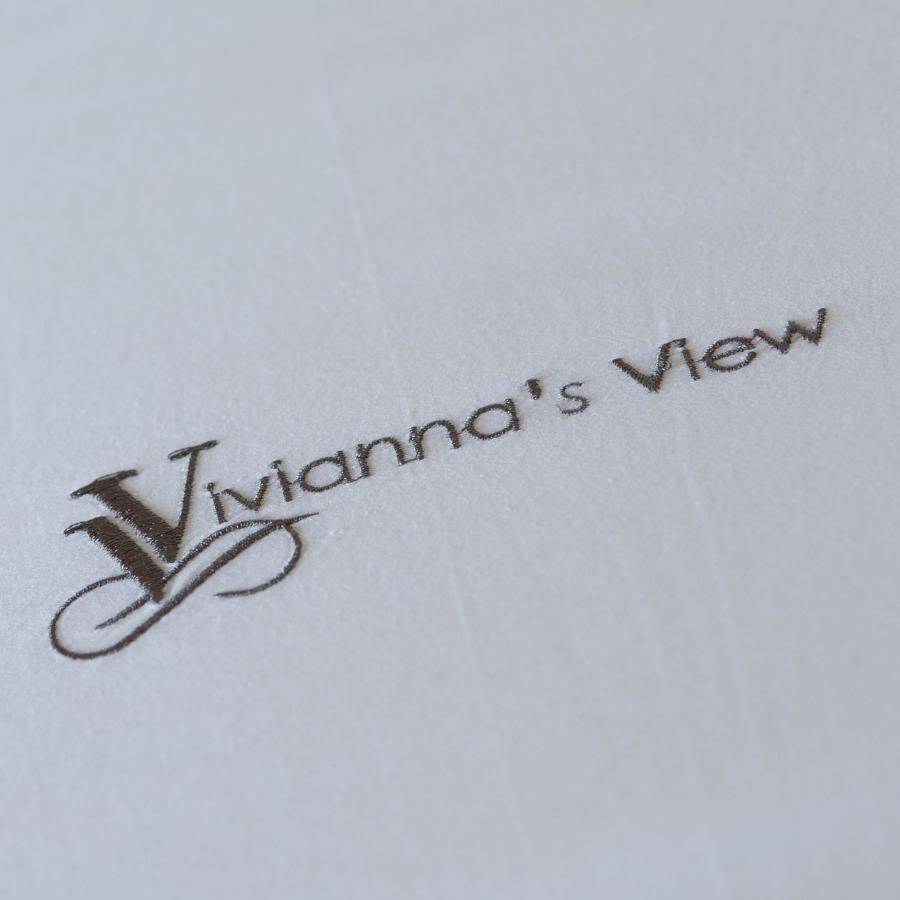 Vivianna's View Apartment Azolimnos